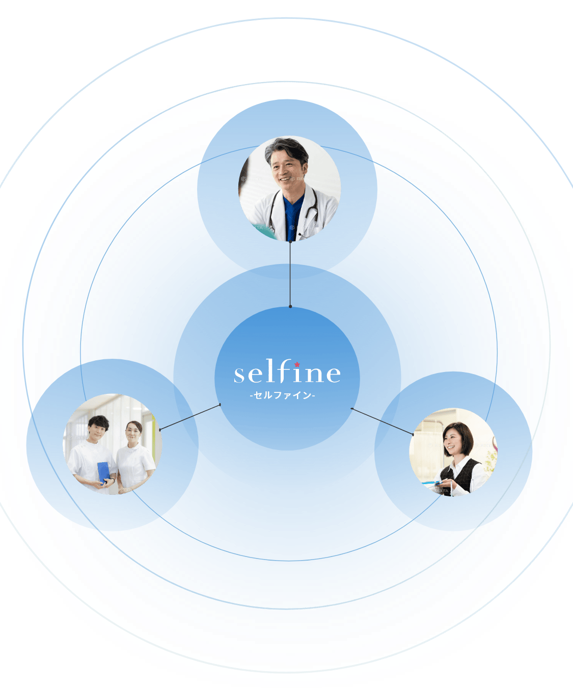 selfine-セルファイン-